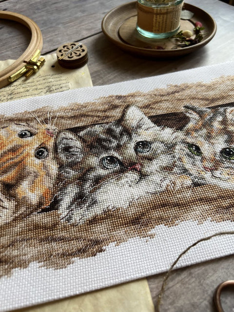 Kryželiu siuvinėjimo rinkinys „Pūkuotas trio“ – 35 × 14,5 cm, Aida kanva, vidutinio sudėtingumo