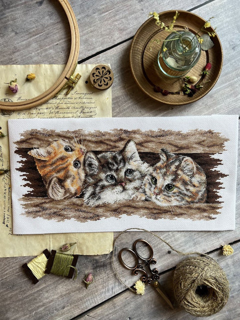 Kryželiu siuvinėjimo rinkinys „Pūkuotas trio“ – 35 × 14,5 cm, Aida kanva, vidutinio sudėtingumo