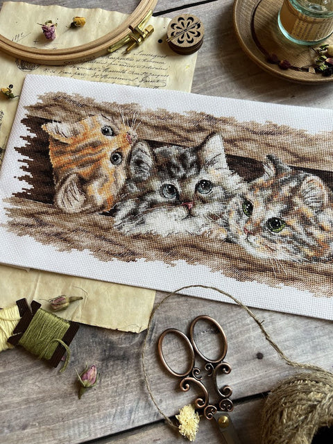 Kryželiu siuvinėjimo rinkinys „Pūkuotas trio“ – 35 × 14,5 cm, Aida kanva, vidutinio sudėtingumo