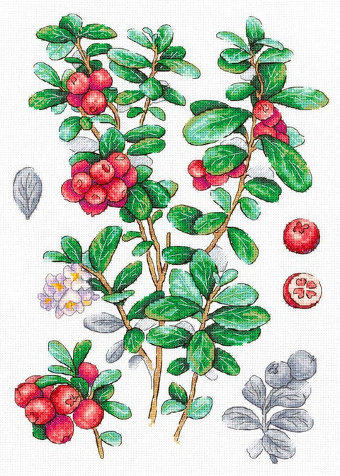 Kryželių siuvinėjimo rinkinys „Bruknių uogos“ – 29x20 cm paveikslas interjerui