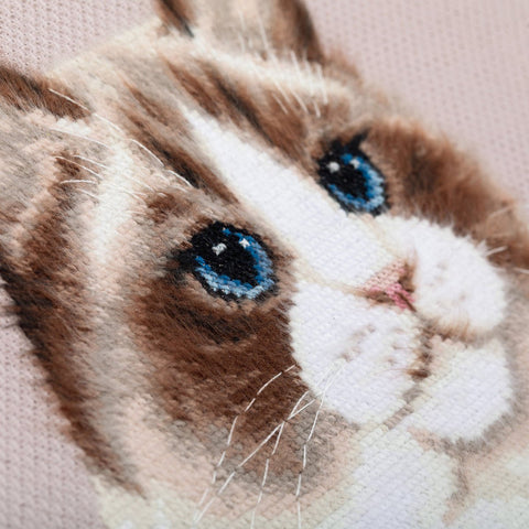 Žavingas Ragdoll katės siuvinėjimo komplektas kryželiu, 19,5×24,5 cm - kaSiulai.lt