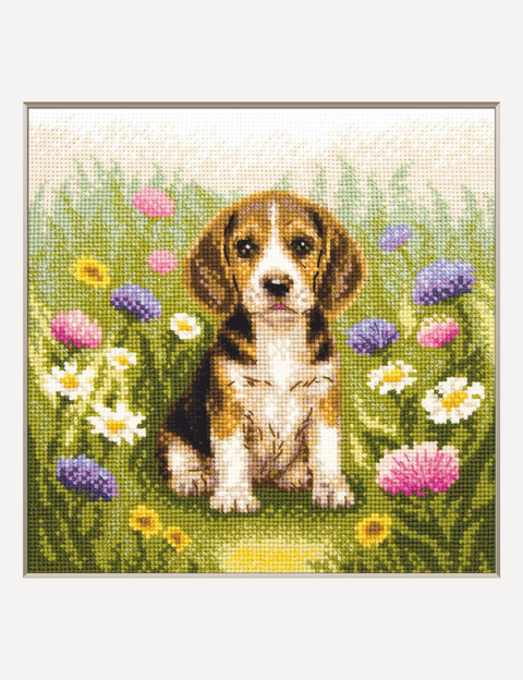 Siuvinėjimo kryželiu rinkinys „Bigliukas pievoje“ 20 x 20 cm