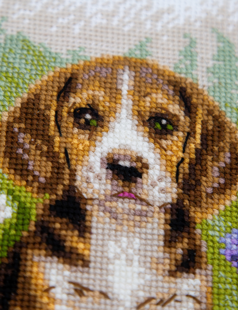 Siuvinėjimo kryželiu rinkinys „Bigliukas pievoje“ 20 x 20 cm