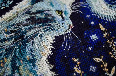 Kryželių siuvinėjimo rinkinys „Naktinis svečias“ 22×32 cm (14 ct) su PRECIOSA #10 karoliukais — Abris Art