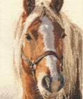 Alisa siuvinėjimo komplektas „Blondinas“ 1 - 17 (20×29 cm) - kaSiulai.lt