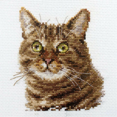 Alisa siuvinėjimo komplektas „Katės akys“ — Aida 14, 13 spalvų, 11×12 cm - kaSiulai.lt