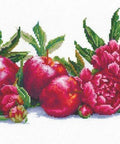 Applers And Peonies SANYA - 02 — siuvinėjimas kryželiu iš Andriana (45×17 cm, 46 spalvų) - kaSiulai.lt