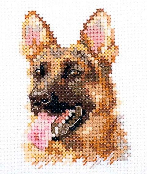 Aviganio portretas — siuvinėjimo komplektas Aida 14, 6×8 cm, 15 spalvų - kaSiulai.lt