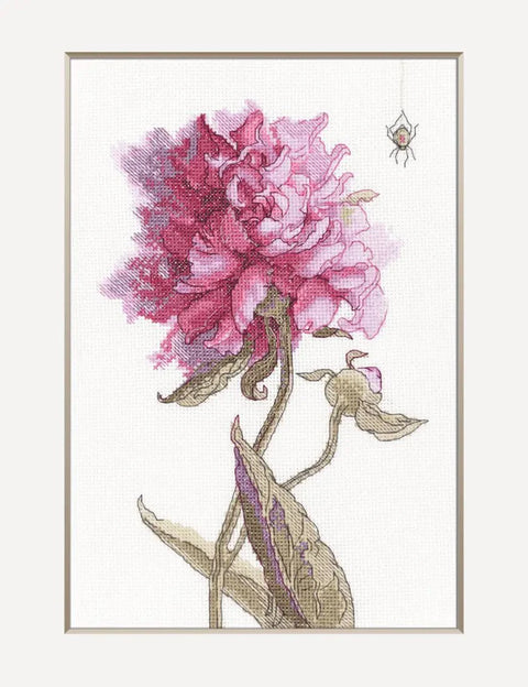 Aine Grace — bijūnų kryželių siuvinėjimo rinkinys (14 ct Aida, 21×30 cm)