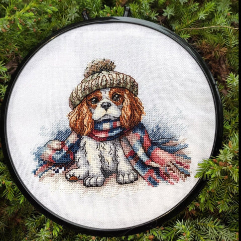 Cavalier King Charles spanielis – detalaus kryželiu siuvinėjimo rinkinys ant Aida 14 ct audinio AVA