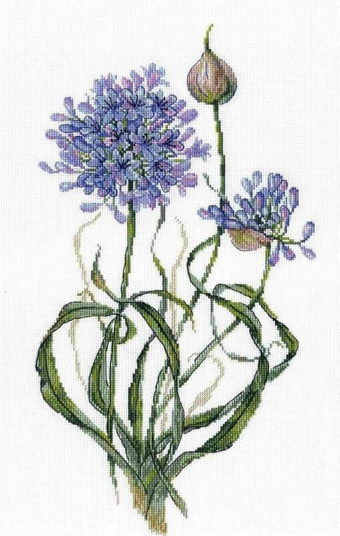 Dekoratyvinis česnakas — siuvinėjimo komplektas (Aida 18, 35×20 cm) - kaSiulai.lt