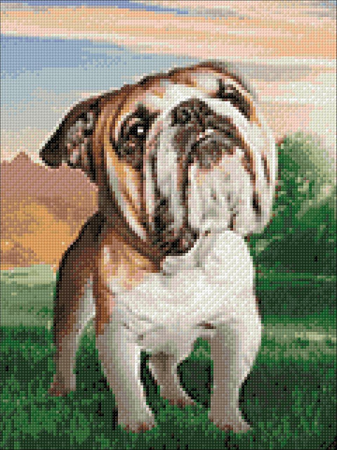 Deimantinės mozaikos rinkinys „Svajojantis šuo“ 50 x 40 cm