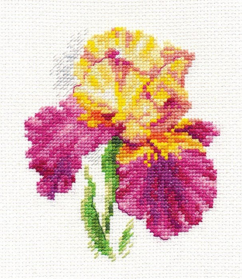 Komplektas siuvinėjimui „Irisai“, Aida 14, 10×12 cm, 20 spalvų - kaSiulai.lt