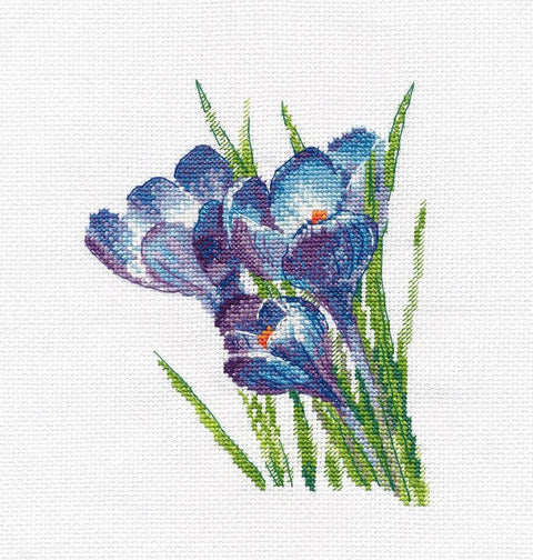 Krokai — siuvinėjimas kryželiu, Aida 16, PNK Kirov, 14×17 cm - kaSiulai.lt