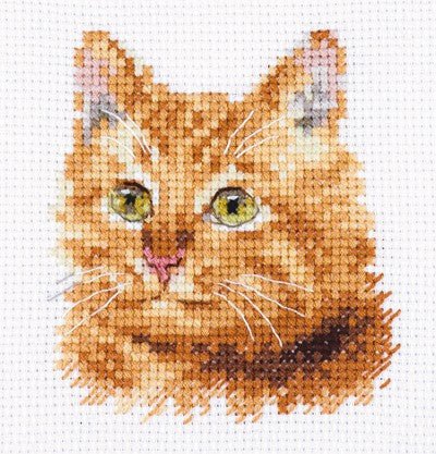Kryželiais siuvinėjimo komplektas „Ryžas katinas“, 8×8 cm, Aida 14, 15 spalvų - kaSiulai.lt