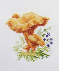 Kryželių siuvinėjimo rinkinys „Voveraitės“, Aida 14 ct, 9×9 cm, pradedantiesiems - kaSiulai.lt