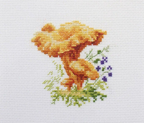 Kryželių siuvinėjimo rinkinys „Voveraitės“, Aida 14 ct, 9×9 cm, pradedantiesiems - kaSiulai.lt