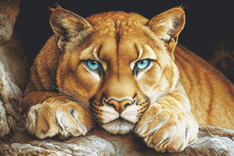 Luca - S siuvinėjimo komplektas kryželiu "Laukinė dvasia" 48×32 cm - kaSiulai.lt