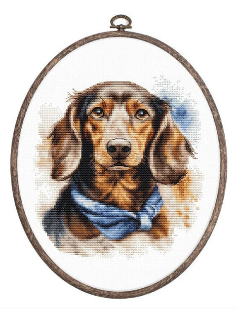 Luca - S siuvinėjimo komplektas kryželiu su lankeliu „Taksas“ 16×17 cm - kaSiulai.lt