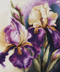 Luca‑S Premium skaičiuojamas kryželių komplektas „Iris Burgermeister“, 22×22 cm - kaSiulai.lt