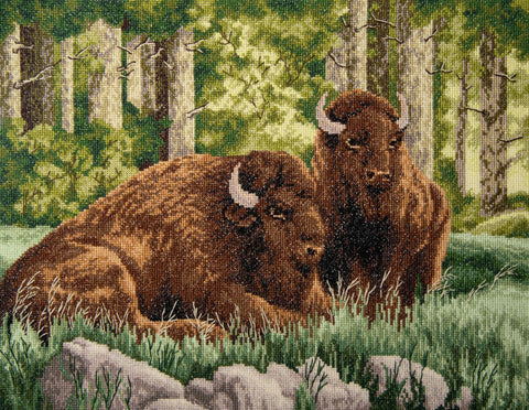Charivna Mit kryželių rinkinys Stumbras — bizono motyvas, Aida 14, 38,5×30 cm