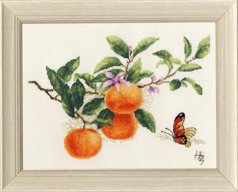 Mandarinų šakelė — siuvinėjimas kryželiu, Aida 18, 18,5×25 cm - kaSiulai.lt