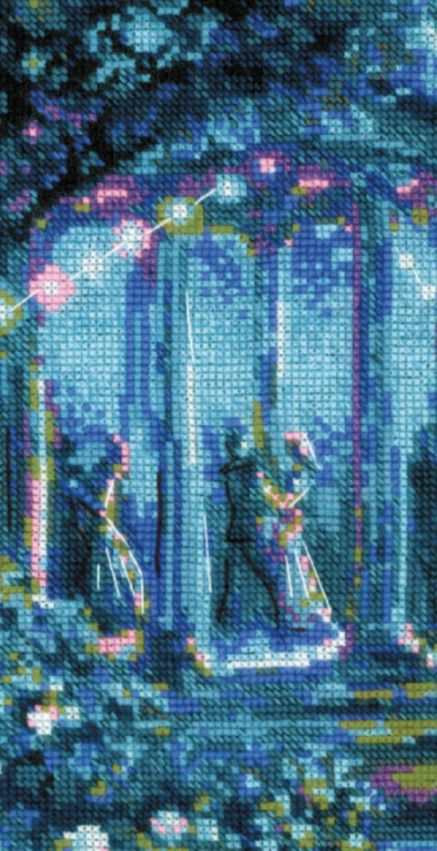 Moonlight Magic – RIOLIS siuvinėjimo rinkinys Nr.2216, 30×40 cm, 14 spalvų, juoda Aida