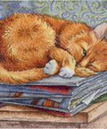 MP Studija siuvinėjimo komplektas „Studying Cat“ (SNV - 595) - kaSiulai.lt