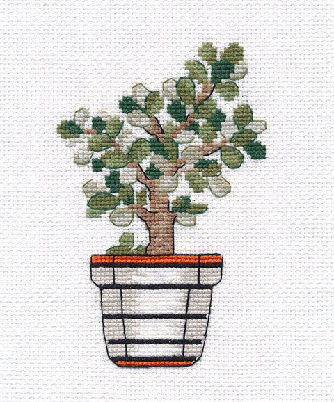 Pilnas siuvinėjimo komplektas „Crassula“ — 18 ct kanva, 11 spalvų - kaSiulai.lt