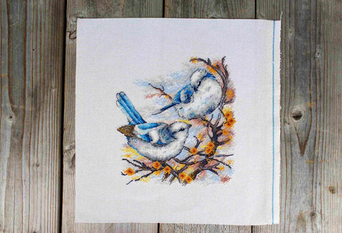 Plunksnuoti aristokratai — kryželiu siuvinėjimo komplektas 20×18 cm - kaSiulai.lt
