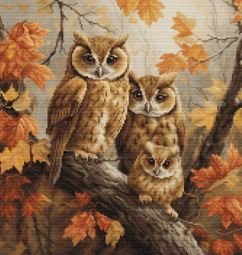 Premium skaičiuoto kryželio rinkinys „Pelėdų šeima“, 27×29 cm - kaSiulai.lt