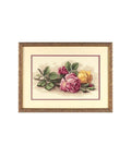 Rožės (36 x 23 cm) - DIMENSIONS siuvinėjimo kryželiu rinkinys - kaSiulai.lt