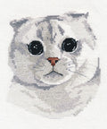 „Scottish Fold“ katė — siuvinėjimui kryželiu, 13×14 cm, Zweigart - kaSiulai.lt