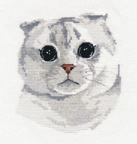 „Scottish Fold“ katė — siuvinėjimui kryželiu, 13×14 cm, Zweigart - kaSiulai.lt