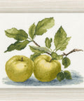 Siuvinėjimo komplektas „Antonovka“ kryželiu, Zweigart Aida 18 ct, 20,5×18 cm - kaSiulai.lt
