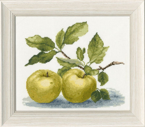Siuvinėjimo komplektas „Antonovka“ kryželiu, Zweigart Aida 18 ct, 20,5×18 cm - kaSiulai.lt