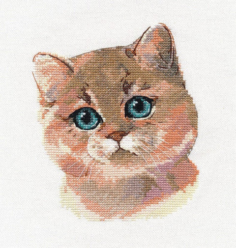Siuvinėjimo komplektas „Britų trumpaplaukis“ 13×16 cm, 18 spalvų, Zweigart - kaSiulai.lt