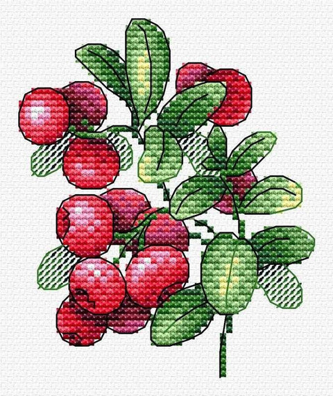 Siuvinėjimo komplektas „Bruknės“ Aida 14 — 13 spalvų mulinai, 11×10 cm, pradedantiesiems - kaSiulai.lt