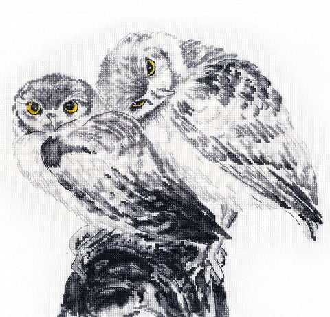 Siuvinėjimo komplektas kryželiu „Įsimylėję pelėdžiukai“, 25×27 cm, 16 ct - kaSiulai.lt