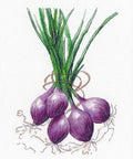 Siuvinėjimo komplektas kryželiu "Oven Onion" — pradedantiesiems - kaSiulai.lt