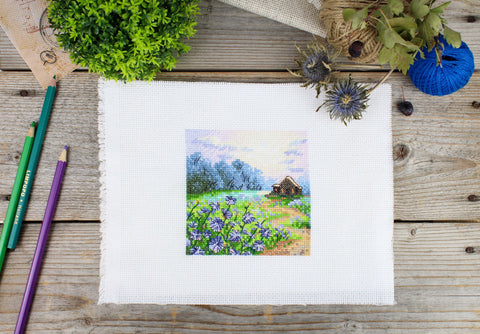 Siuvinėjimo komplektas kryželiu „Peizažas su cikorijomis“ 11×11 cm - kaSiulai.lt
