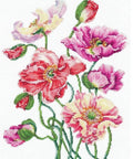 Siuvinėjimo komplektas „Laukinės aguonos“ — Aida 16 ct, 41 spalva, 22×27 cm - kaSiulai.lt