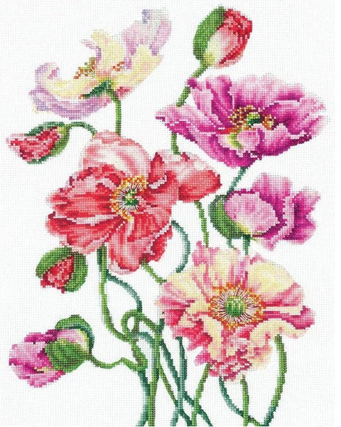 Siuvinėjimo komplektas „Laukinės aguonos“ — Aida 16 ct, 41 spalva, 22×27 cm - kaSiulai.lt