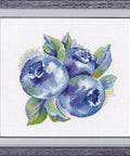 Siuvinėjimo komplektas "Laukinės uogos" — Aida Nr.16, 14×14 cm, 16 spalvų - kaSiulai.lt