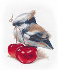 Siuvinėjimo komplektas "Paukščių gurmanas" 16×19 cm — Zweigart Aida 16 ct - kaSiulai.lt