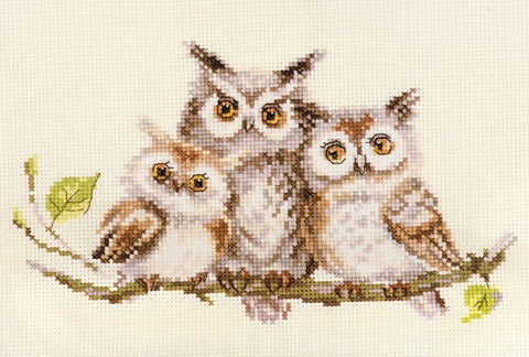 Siuvinėjimo komplektas „Pelėdos“ — Aida 14, 19 spalvų, 22×13 cm - kaSiulai.lt