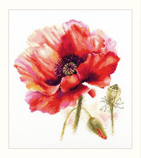 Siuvinėjimo komplektas "Raudona aguona" — Aida 16, 30 spalvų, 22×24 cm - kaSiulai.lt