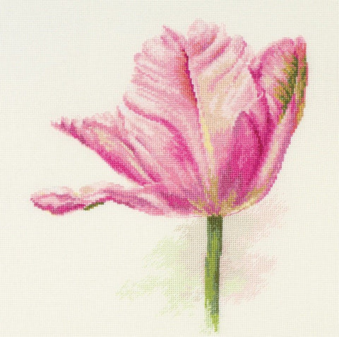 Siuvinėjimo komplektas: šviesiai rožinės tulpės, Aida 16, 22×26 cm - kaSiulai.lt