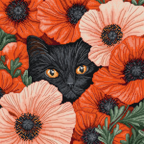 Siuvinėjimo kryželiu rinkinys „Aguonų akys“ – 24 × 24 cm, augalinis motyvas