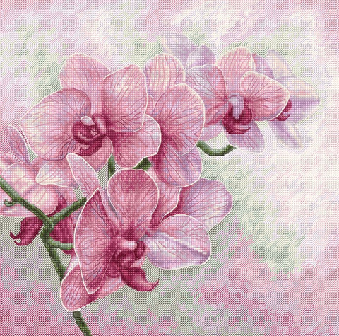 Grakščios orchidėjos – kryželių siuvinėjimo rinkinys, elegantiška dovana